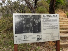 The Born Loser Mine