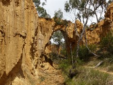 Golden Gully