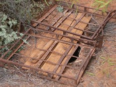 Tallaringa Well