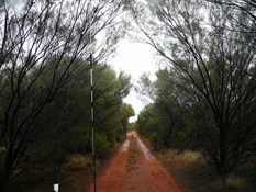 More of the track