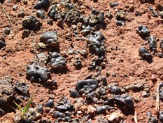 Moulten rock, Emu Test sight.