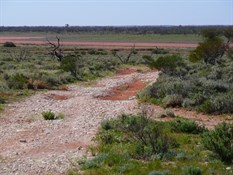 Emu Airfield