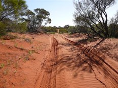 Into Sand Country