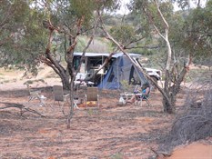 Camped under the mulgas on the edge of the Serpentine Lakes.