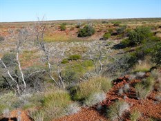 Veevers Meteorite Crater.
