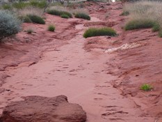 Connie Sue track wash aways were common.
