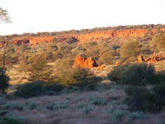 View over Point Lillian.