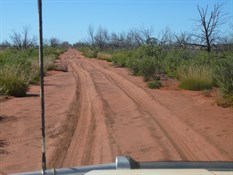 Kilometers of deep sandy track