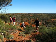 McKenzies Gorge.