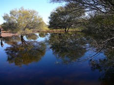 Totally unexpected Water hole on Heather Hwy.