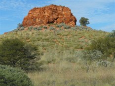 McPhersons Pillar 