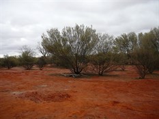 Its easy to leave a camp site clean