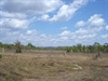 Magnetic Termite Mounds