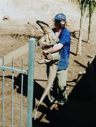Komodo Dragon, Wyndham Croc Park 2002