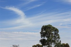 Port Augusta