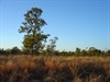 Bullwaddy Rest Area
