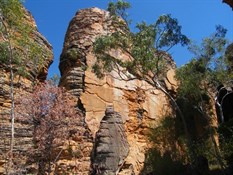 Caranbirini Conservation Reserve