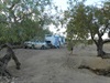 Campsite at Poole Creek