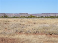 The Leopold Range