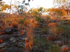 Walk from Paradise Pool on sun set