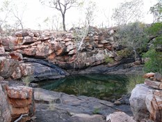 Paradise Pool