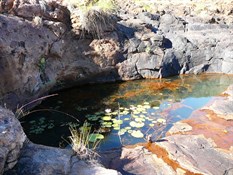 At Donkey Pool