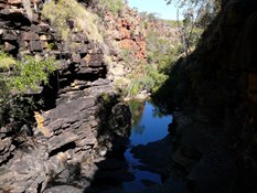 Bottom Pool Grevillia Gorge