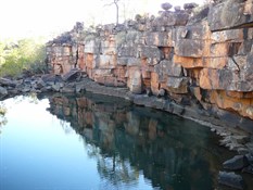 Lilly Waterhole