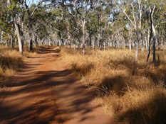 Track out to the Gorges.