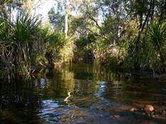 One of the many creeks you cross