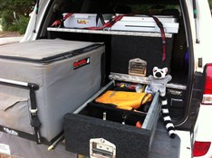 Black Widow storage
