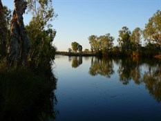 King Edward River at camp site.