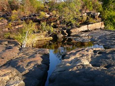 Top pool of little Merton Falls