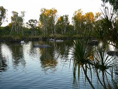 Manning River, at the camp ground