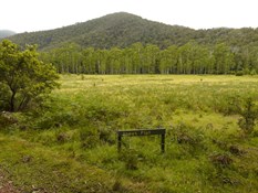Joey's Flat - old grazing grounds