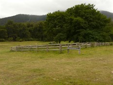 The horse yards