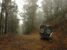 Climbing out of the valley in the mist