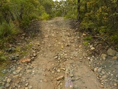 The track was in good condition