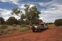 Len's tree