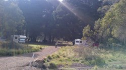 Pines Camp Area