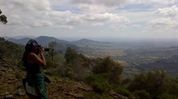 Bundella Lookout