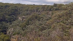 Pinnacles Lookout