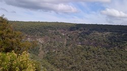 Pinnacles Lookout