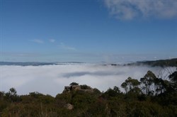 Early morning fog fills the valley