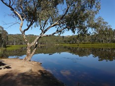The tranquill waters of Dunn's Swamp