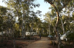 Dunn's Swamp camping area