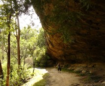 The Long Cave