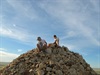 Sturts Cairn on Mt Poole