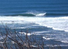 Long Reef Aquatic Reserve