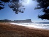 Avalon Beach